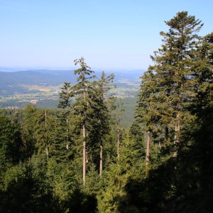 Bouřka na vrcholu Plattenriegel (4.8.2026 10:48)
