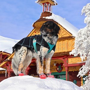 Čaky na vrcholu Pustevny (18.1.2021 12:55)