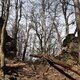 ZdenkaV na vrcholu Rabštejn
