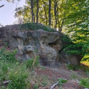 AlenaŠ na vrcholu Malé Brdo (22.5.2026 7:00)