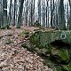 Jiřina na vrcholu Hroby (18.12.2021 14:50)