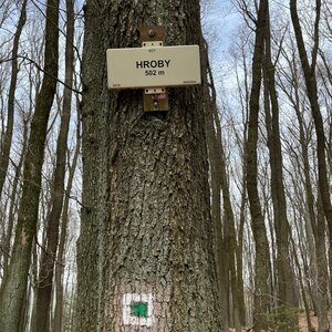 Radka D na vrcholu Hroby (31.3.2024 13:37)