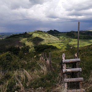 Krvelačné ňuf na vrcholu Černá bařina (29.5.2021 14:43)
