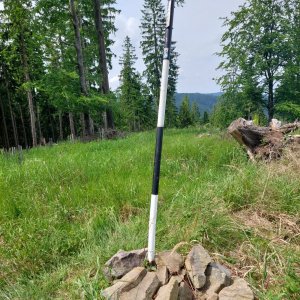 Ila na vrcholu Bařinka (7.6.2025)