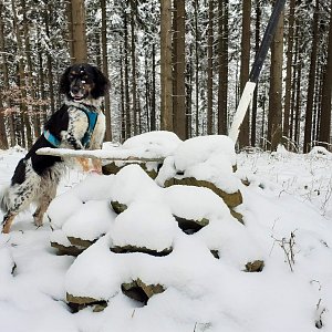 Čaky na vrcholu Bařinka (9.1.2021 11:23)