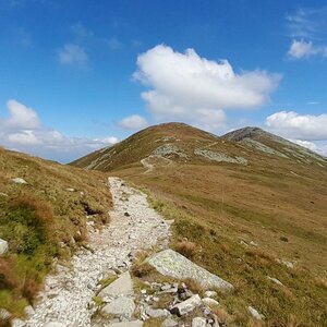 Jozef Farkaš na vrcholu Zadný dereš - Z (9.8.2024 13:25)