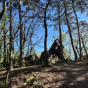 Betička na vrcholu Špičatá skála (26.4.2026 16:29)