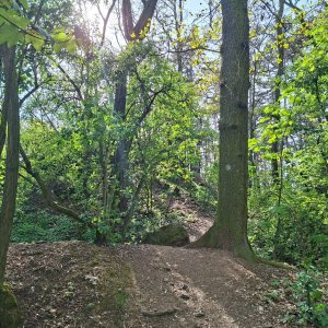Cyklista 73 na vrcholu Špičatá skála (28.4.2026 16:28)