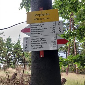 Mykas na vrcholu Popielak (22.6.2024 6:22)