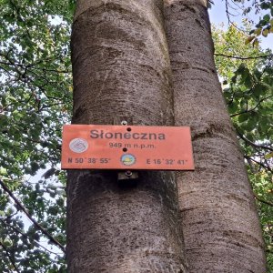 Horalka Anička na vrcholu Słoneczna (29.9.2023)