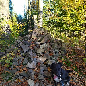 Baruš na vrcholu Kozlovická hora (9.10.2022 8:37)