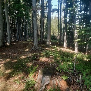 ZdenkaV na vrcholu Skalka (17.8.2022 10:48)