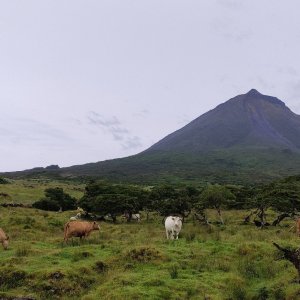 Vratislav Sejkora na vrcholu Ponta do Pico (11.7.2023 14:50)
