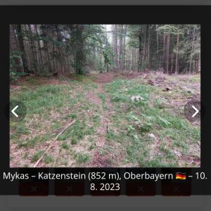Mykas on the summit of Katzenstein (10.8.2023 16:46)