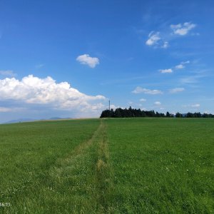 Zdena Trommler na vrcholu Holivák (20.6.2026 16:15)
