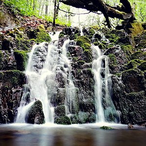 Krvelačné ňuf na vrcholu Puntík (12.5.2021 17:28)