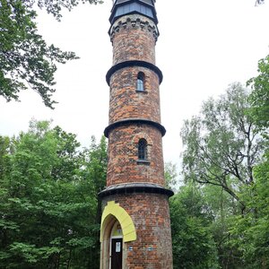 Horalka Anička na vrcholu Kopanina (14.6.2024 12:47)