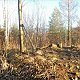 PA!WELL na vrcholu Pískovna (13.2.2022 15:49)