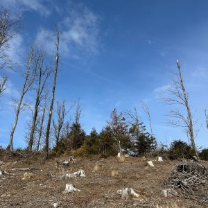 akam na vrcholu Holý vrch (8.2.2025 11:14)