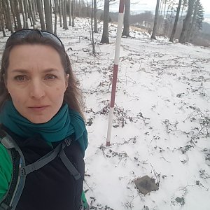 Hostýnsko-vsetínská hornatina