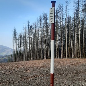 ZdenkaV na vrcholu Čečetkov (15.11.2022 10:14)