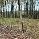 Jirka Valda on peak Čečetkov (1.5.2026)