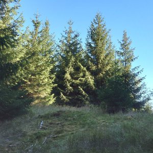 Nojby on the summit of Fastenberg (20.9.2023 15:58)