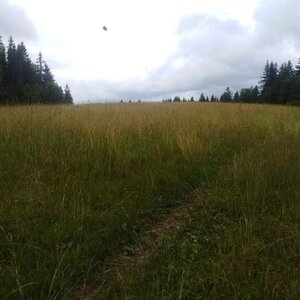 Jozef Farkaš na vrcholu Čížiková (19.7.2021 11:01)
