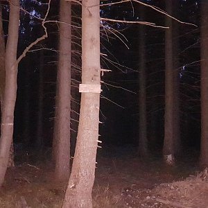 JezMax na vrcholu Smrčina (7.4.2022 19:48)