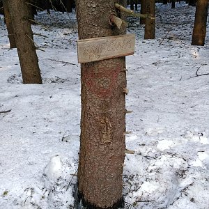 Eliška na vrcholu Smrčina (28.2.2019 16:00)