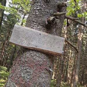 Verysek na vrcholu Smrčina (25.5.2019 16:47)