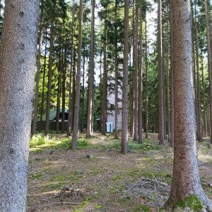 FilipBranis na vrcholu Javorník (17.9.2025 10:03)