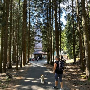 Pavla Čížková na vrcholu Javorník (9.8.2026 10:42)