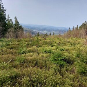 Mykas on the summit of Sulica (9.4.2024 16:04)