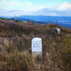 Šárka na vrcholu Magurka Radziechowska Z2 (15.3.2026 16:14)