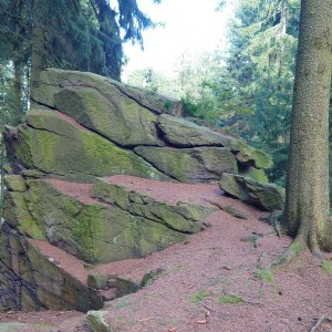 Nojby on the summit of Hirtstein (26.9.2023 11:50)