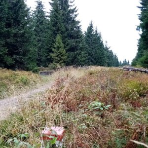 Jiřina na vrcholu Tanecznik/Tanečník (30.9.2023 12:34)