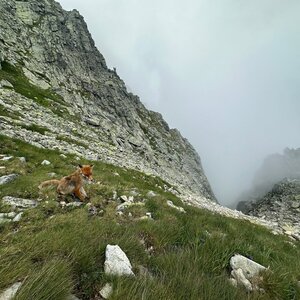 akam on the summit of Kopa nad Váhou (4.7.2024 11:24)