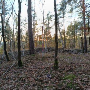 VěrkaN na vrcholu Lomec (1.1.2025 15:34)