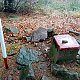 Jiřina na vrcholu Tanečnice (14.11.2021)