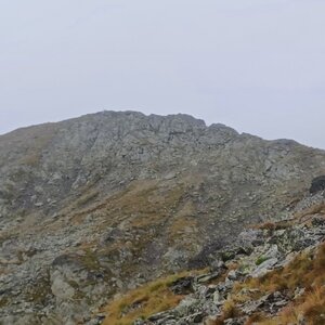 PA!WELL on the summit of Negoiu (9.8.2024 14:13)