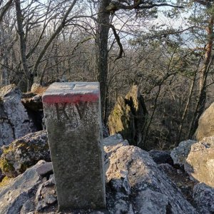 Panda toulavá on the summit of Babí lom (10.2.2025 9:48)