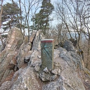 Panda toulavá on the summit of Babí lom (9.3.2025 7:23)