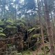 PA!WELL na vrcholu Nad Bílou strží - SZ vrchol