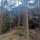 PA!WELL na vrcholu Nad Bílou strží - SZ vrchol