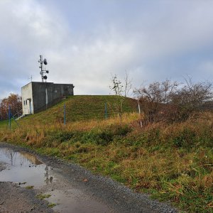 Horalka Anička on the summit of Novolublický vrch (4.11.2023)