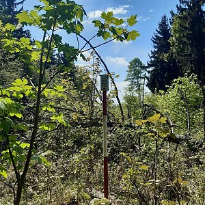 ZdenkaV na vrcholu Beskyd (15.5.2022 14:05)