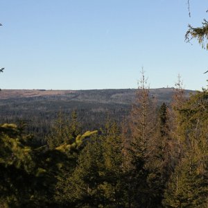 Bouřka on the summit of Skalky (15.12.2025 11:29)