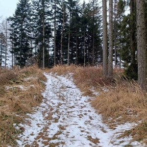 PA!WELL na vrcholu Prostřední vrch (23.2.2025 14:05)