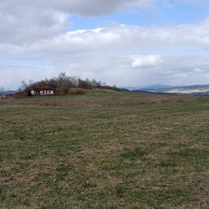 Milda on the summit of Vranov (6.4.2025 14:50)